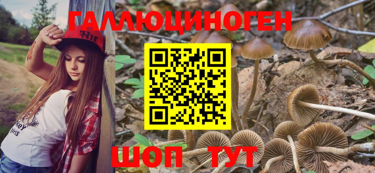 Городец  магазин    Вход с VPN  Галлюциногенные грибы MAGIC MUSHROOMS  Галлюциногенные грибы прущие грибы 