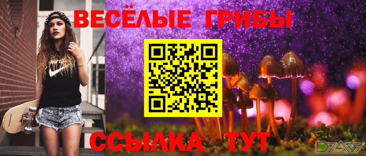 Псилоцибиновые грибы ЛСД Городец